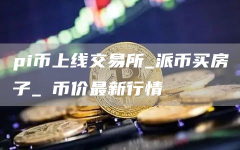 pi币上线交易所_派币买房子_π币价最新行情