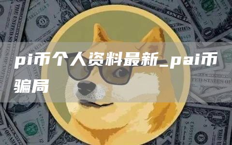 pi币个人资料最新_pai币骗局