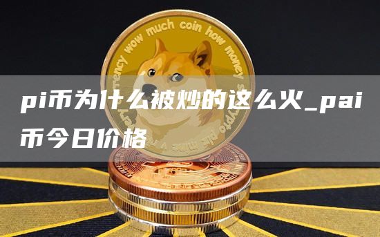 pi币为什么被炒的这么火_pai币今日价格