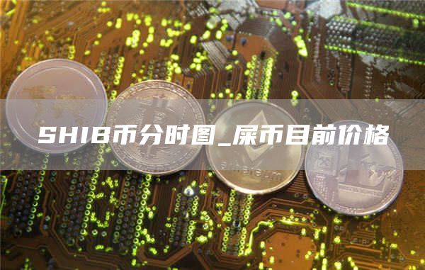 SHIB币分时图_屎币目前价格