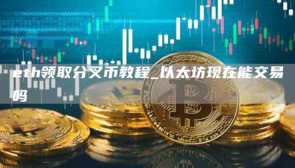 eth领取分叉币教程_以太坊现在能交易吗