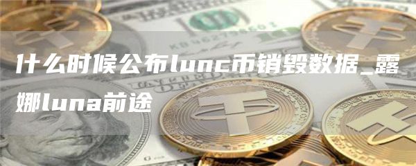 什么时候公布lunc币销毁数据_露娜luna前途