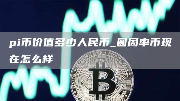 pi币价值多少人民币_圆周率币现在怎么样