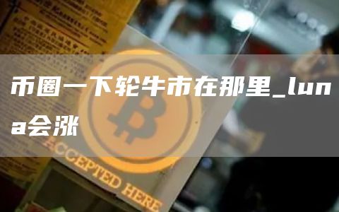 币圈一下轮牛市在那里_luna会涨