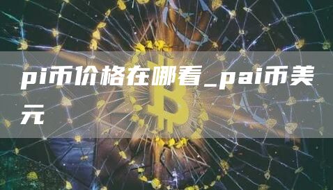 pi币价格在哪看_pai币美元