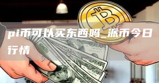 pi币可以买东西吗_派币今日行情