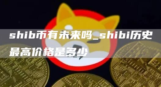 shib币有未来吗_shibi历史最高价格是多少