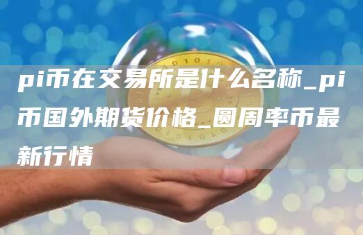 pi币在交易所是什么名称_pi币国外期货价格_圆周率币最新行情