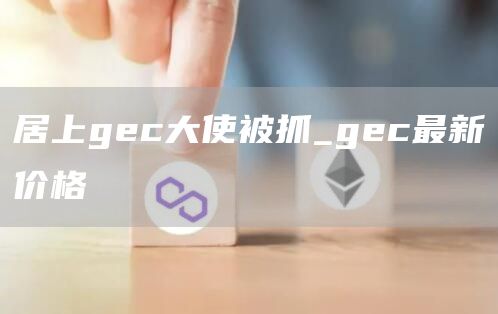 居上gec大使被抓_gec最新价格
