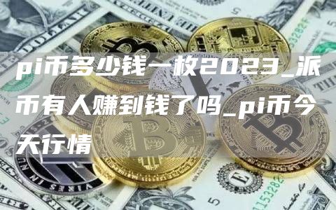 pi币多少钱一枚2023_派币有人赚到钱了吗_pi币今天行情