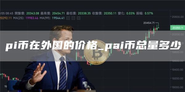 pi币在外国的价格_pai币总量多少