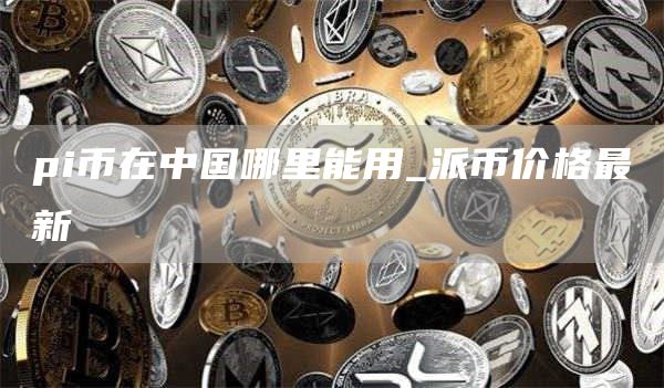 pi币在中国哪里能用_派币价格最新