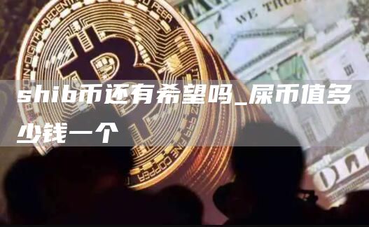 shib币还有希望吗_屎币值多少钱一个