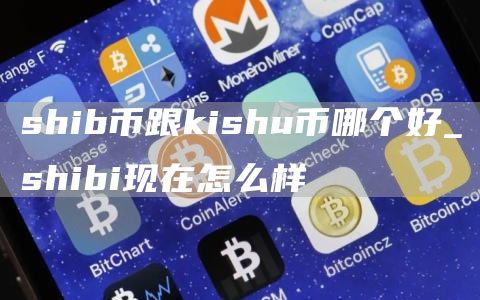 shib币跟kishu币哪个好_shibi现在怎么样