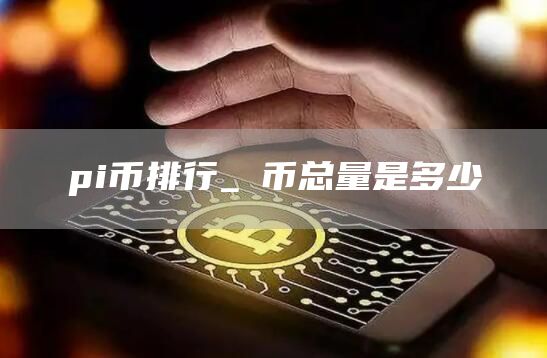pi币排行_π币总量是多少
