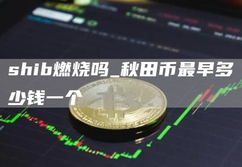 shib燃烧吗_秋田币最早多少钱一个