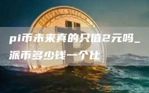 pi币未来真的只值2元吗_派币多少钱一个比