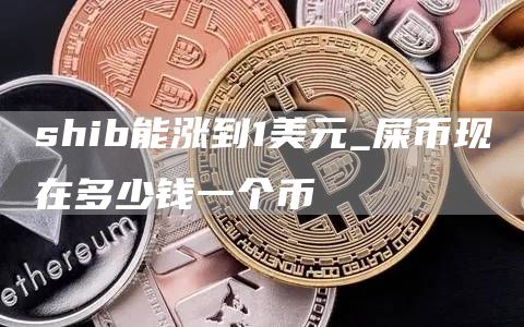 shib能涨到1美元_屎币现在多少钱一个币