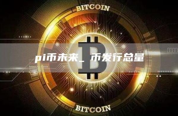 pi币未来_π币发行总量