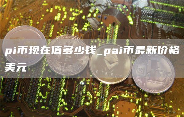 pi币现在值多少钱_pai币最新价格美元