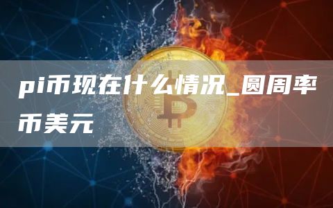 pi币现在什么情况_圆周率币美元