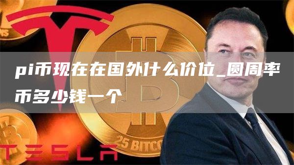 pi币现在在国外什么价位_圆周率币多少钱一个