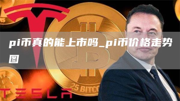 pi币真的能上市吗_pi币价格走势图