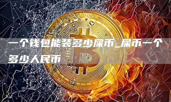 一个钱包能装多少屎币_屎币一个多少人民币