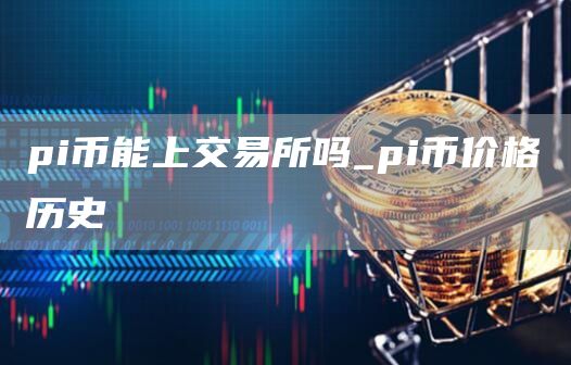 pi币能上交易所吗_pi币价格历史