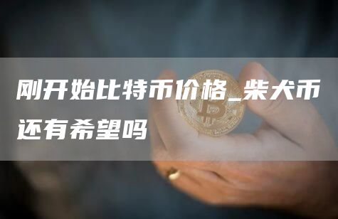 刚开始比特币价格_柴犬币还有希望吗