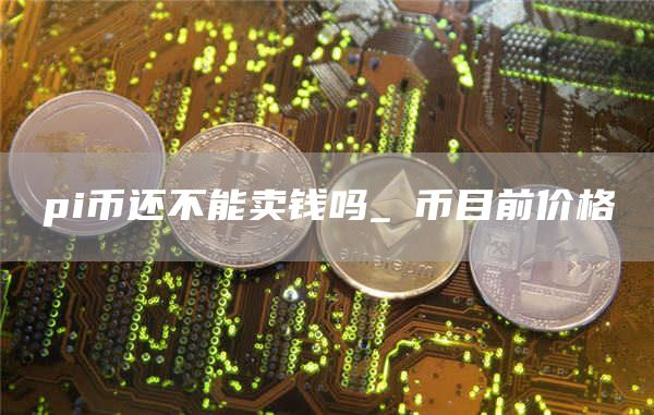 pi币还不能卖钱吗_π币目前价格