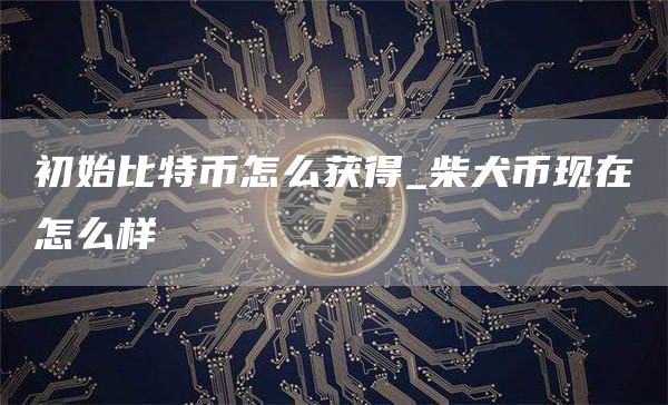 初始比特币怎么获得_柴犬币现在怎么样