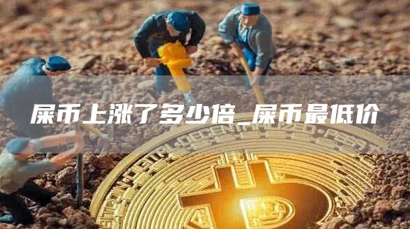 屎币上涨了多少倍_屎币最低价