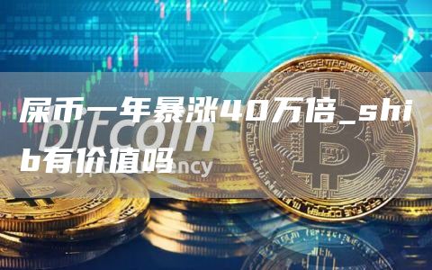 屎币一年暴涨40万倍_shib有价值吗