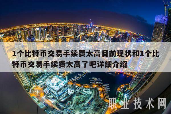 1个比特币交易手续费太高目前现状和1个比特币交易手续费太高了吧详细介绍-第1张图片-欧意易易下载