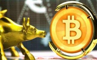 os币最新价格行情(os币价格今日行情价格)