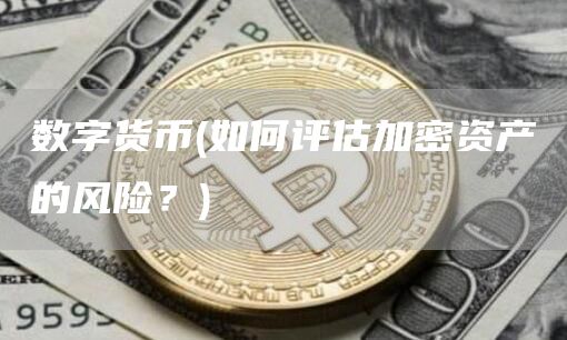 数字货币 - 如何评估加密资产的风险？