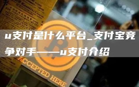 u支付是什么平台_支付宝竞争对手——u支付介绍
