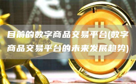 目前的数字商品交易平台 - 数字商品交易平台的未来发展趋势
