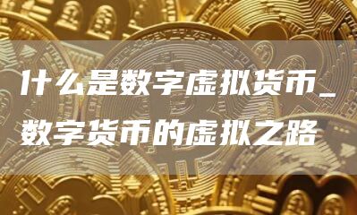 什么是数字虚拟货币_数字货币的虚拟之路