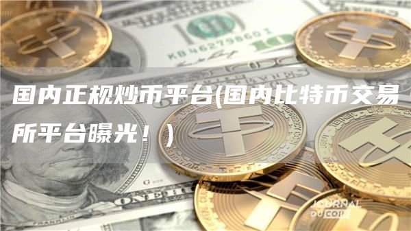 国内正规炒币平台 - 国内比特币交易所平台曝光！