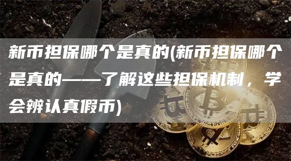新币担保哪个是真的 - 新币担保哪个是真的——了解这些担保机制，学会辨认真假币