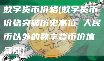 数字货币价格 - 数字货币价格突破历史高位 人民币以外的数字货币价值暴涨