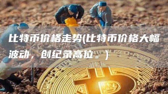 比特币价格走势 - 比特币价格大幅波动，创纪录高位。