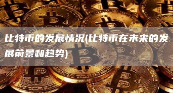 比特币的发展情况 - 比特币在未来的发展前景和趋势