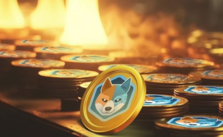 MM币AIDOG再涨81%!空投2周已涨2000%