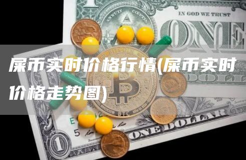 屎币实时价格行情 - 屎币实时价格走势图