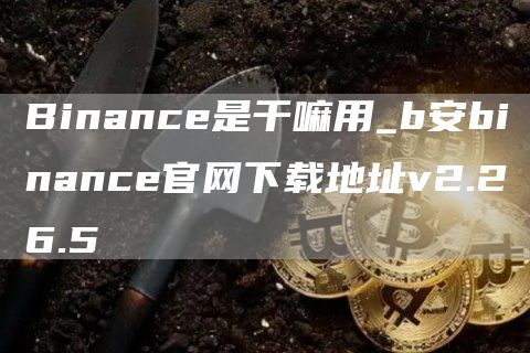 Binance是干嘛用_b安binance官网下载地址v2.26.5