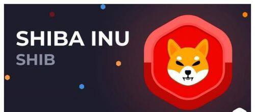 柴犬币如何购买-第1张图片-欧意易易下载