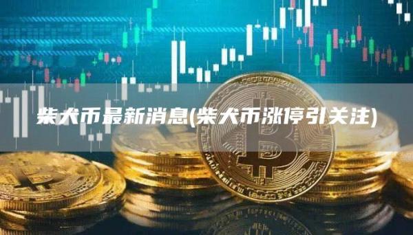 柴犬币最新消息 - 柴犬币涨停引关注